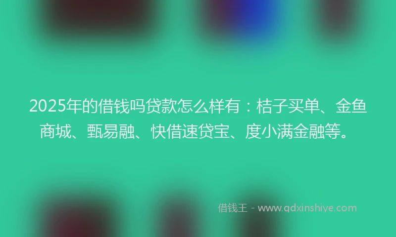 2025年的借钱吗贷款怎么样有：桔子买单、金鱼商城、甄易融、快借速贷宝、度小满金融等。