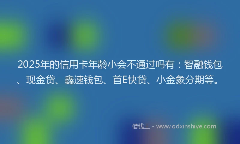 2025年的信用卡年龄小会不通过吗有：智融钱包、现金贷、鑫速钱包、首E快贷、小金象分期等。