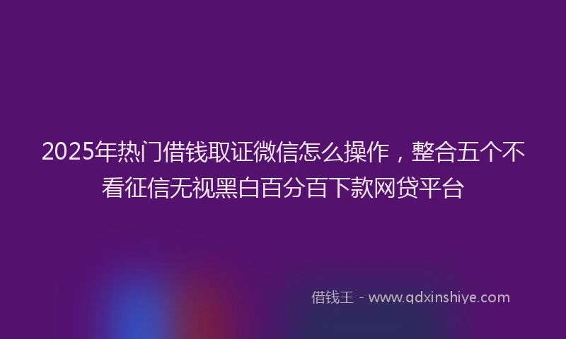 2025年热门借钱取证微信怎么操作，整合五个不看征信无视黑白百分百下款网贷平台