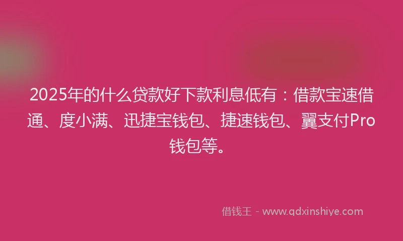 2025年的什么贷款好下款利息低有：借款宝速借通、度小满、迅捷宝钱包、捷速钱包、翼支付Pro钱包等。