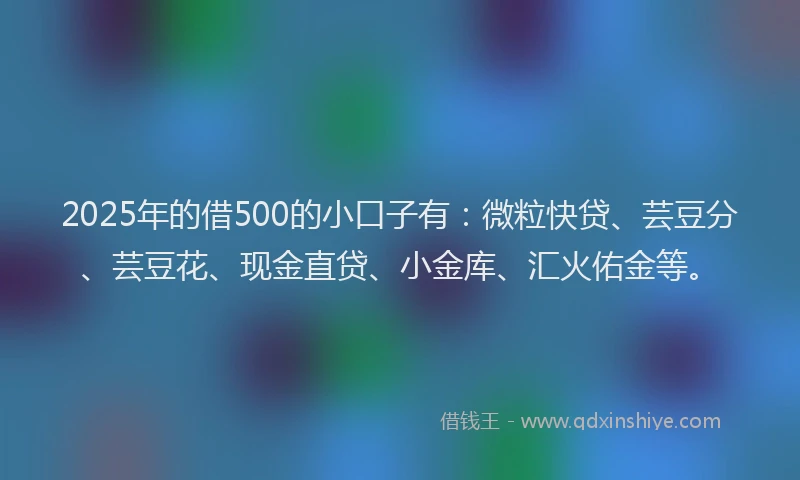 2025年的借500的小口子有：微粒快贷、芸豆分、芸豆花、现金直贷、小金库、汇火佑金等。