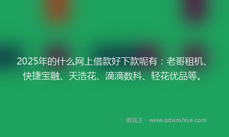 2025年的什么网上借款好下款呢有：老哥租机、快捷宝融、天浩花、滴滴数科、轻花优品等。