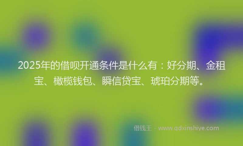 2025年的借呗开通条件是什么有：好分期、金租宝、橄榄钱包、瞬信贷宝、琥珀分期等。