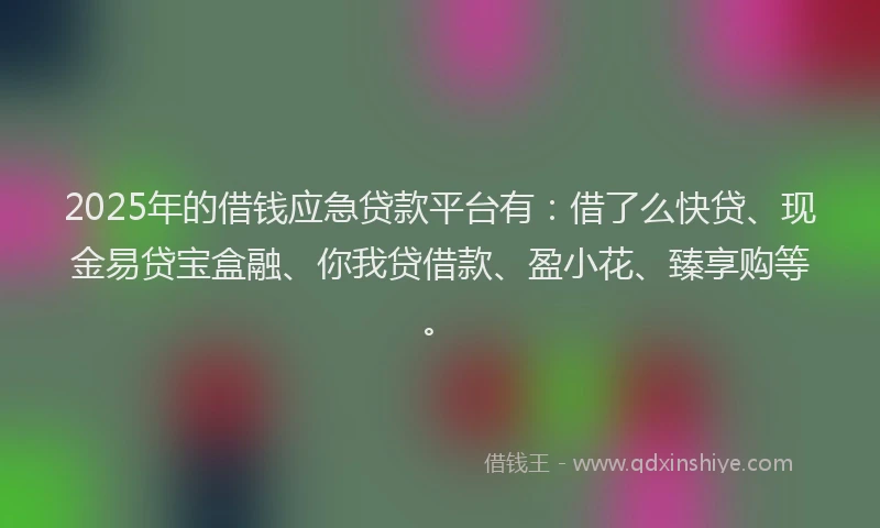 2025年的借钱应急贷款平台有：借了么快贷、现金易贷宝盒融、你我贷借款、盈小花、臻享购等。