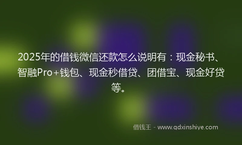 2025年的借钱微信还款怎么说明有：现金秘书、智融Pro+钱包、现金秒借贷、团借宝、现金好贷等。