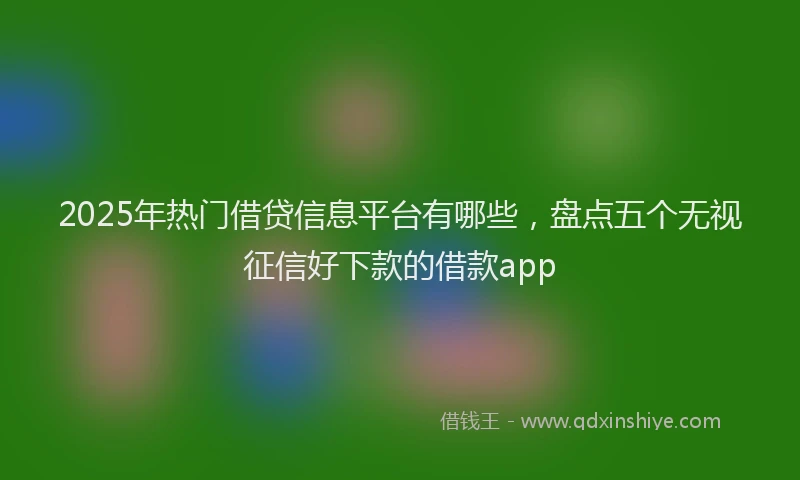 2025年热门借贷信息平台有哪些，盘点五个无视征信好下款的借款app