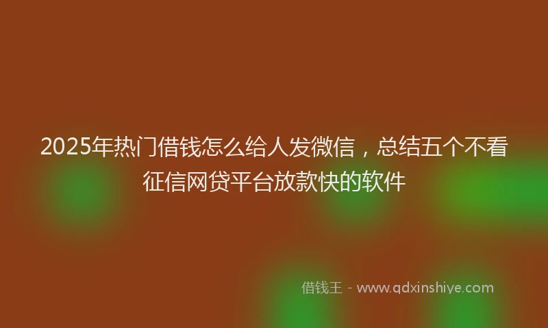 2025年热门借钱怎么给人发微信，总结五个不看征信网贷平台放款快的软件