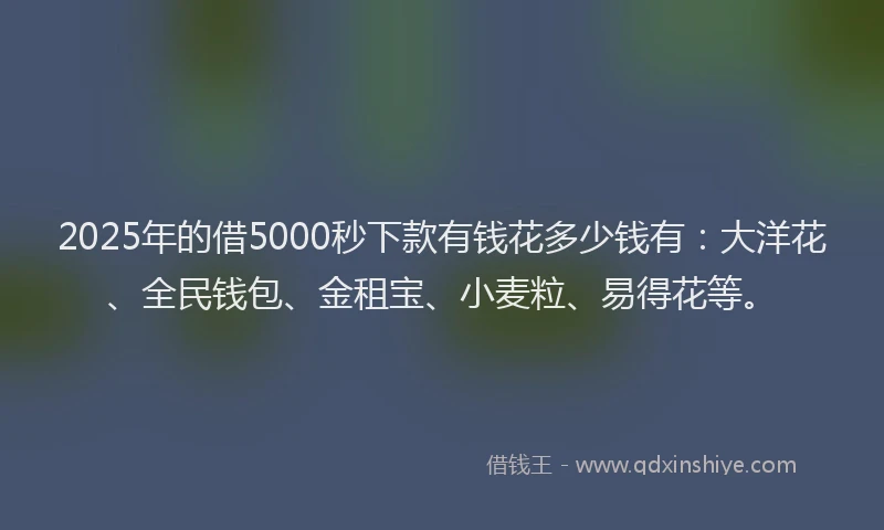 2025年的借5000秒下款有钱花多少钱有：大洋花、全民钱包、金租宝、小麦粒、易得花等。