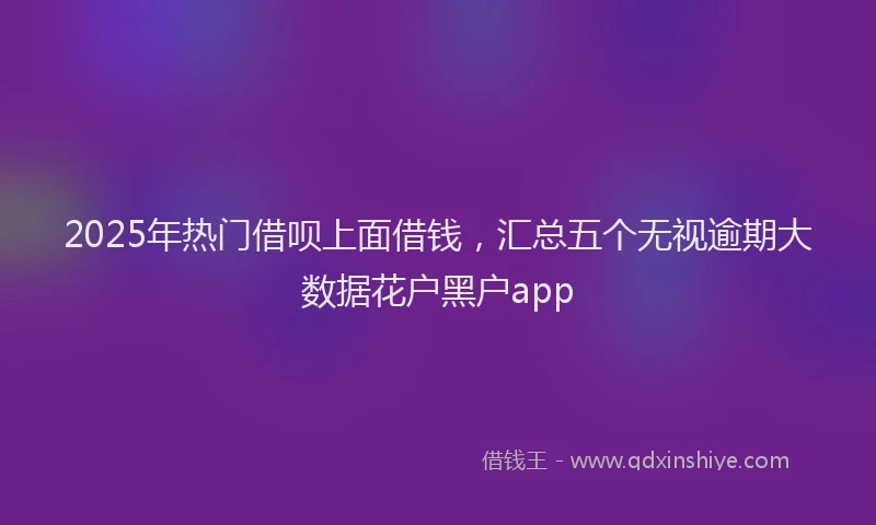 2025年热门借呗上面借钱，汇总五个无视逾期大数据花户黑户app