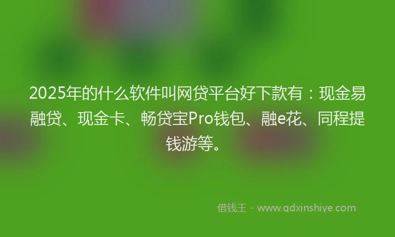 2025年的什么软件叫网贷平台好下款有：现金易融贷、现金卡、畅贷宝Pro钱包、融e花、同程提钱游等。