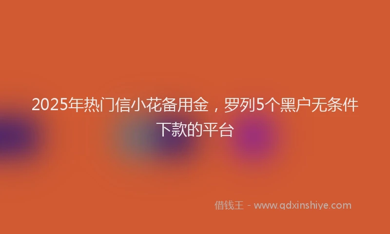 2025年热门信小花备用金，罗列5个黑户无条件下款的平台