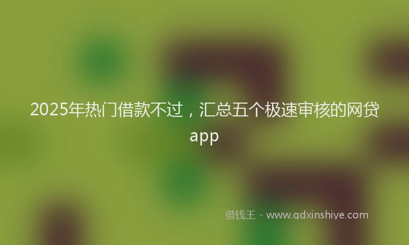2025年热门借款不过，汇总五个极速审核的网贷app