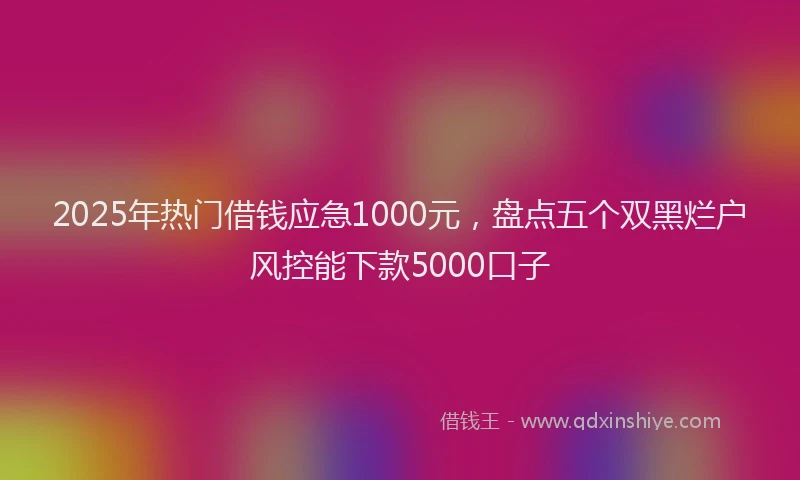 2025年热门借钱应急1000元，盘点五个双黑烂户风控能下款5000口子