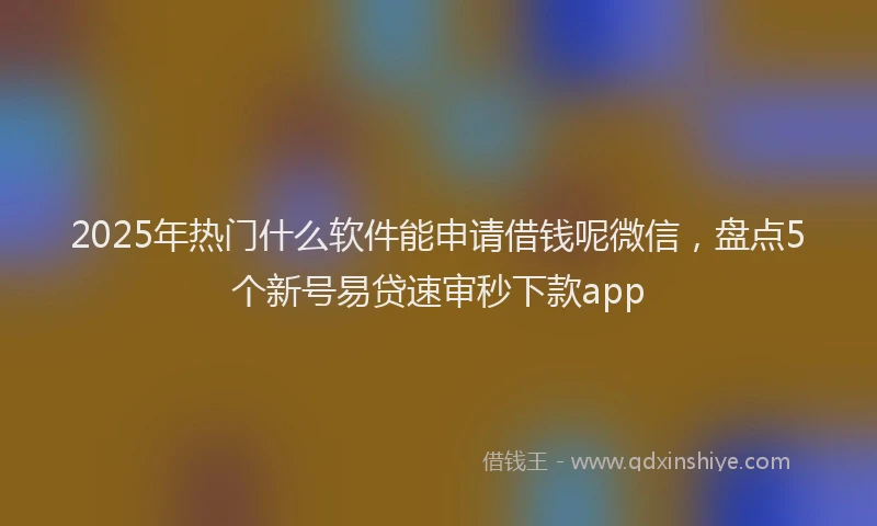 2025年热门什么软件能申请借钱呢微信，盘点5个新号易贷速审秒下款app