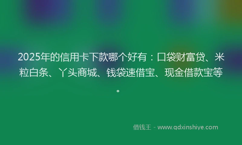 2025年的信用卡下款哪个好有：口袋财富贷、米粒白条、丫头商城、钱袋速借宝、现金借款宝等。