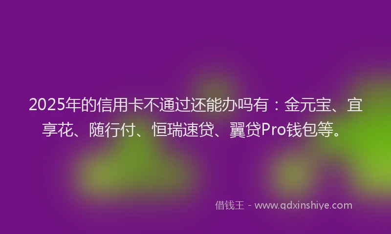 2025年的信用卡不通过还能办吗有：金元宝、宜享花、随行付、恒瑞速贷、翼贷Pro钱包等。