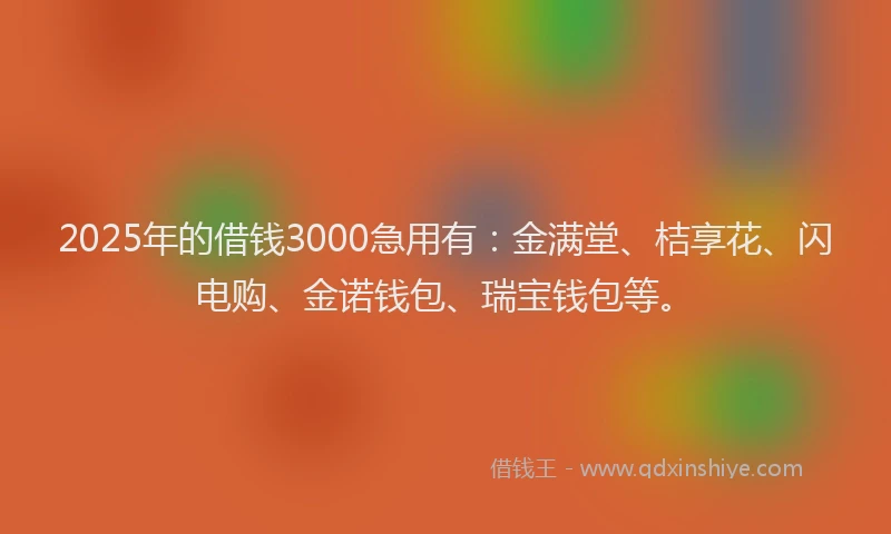 2025年的借钱3000急用有：金满堂、桔享花、闪电购、金诺钱包、瑞宝钱包等。