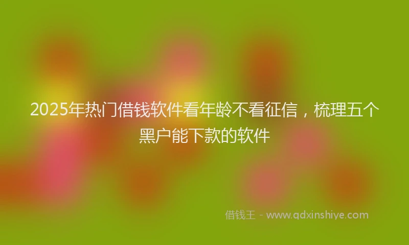 2025年热门借钱软件看年龄不看征信，梳理五个黑户能下款的软件