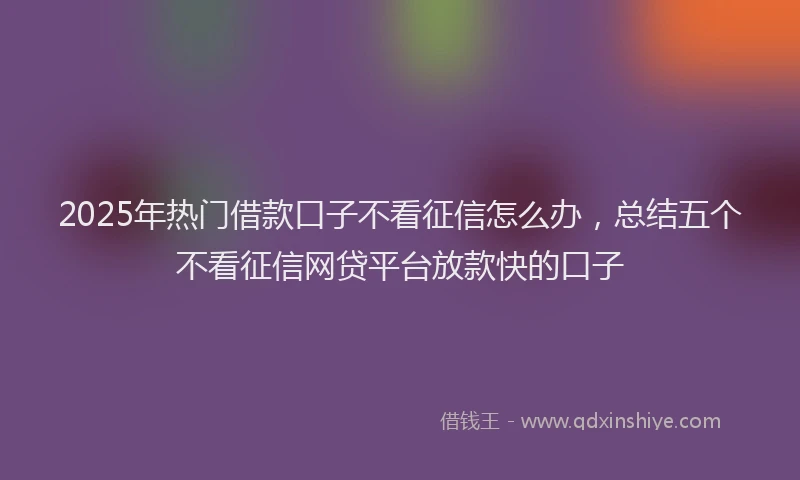 2025年热门借款口子不看征信怎么办，总结五个不看征信网贷平台放款快的口子
