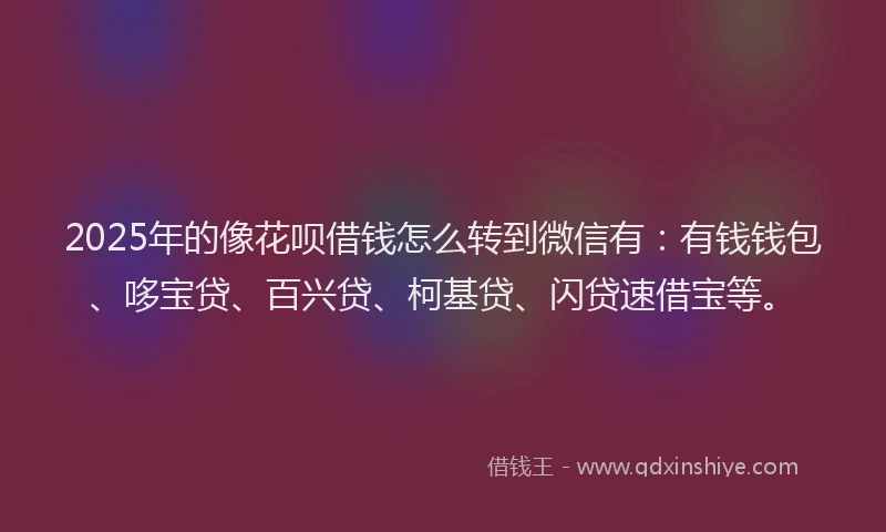 2025年的像花呗借钱怎么转到微信有：有钱钱包、哆宝贷、百兴贷、柯基贷、闪贷速借宝等。