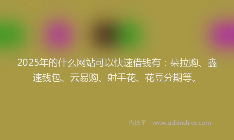 2025年的什么网站可以快速借钱有:朵拉购、鑫速钱包、云易购、射手花、花豆分期等。