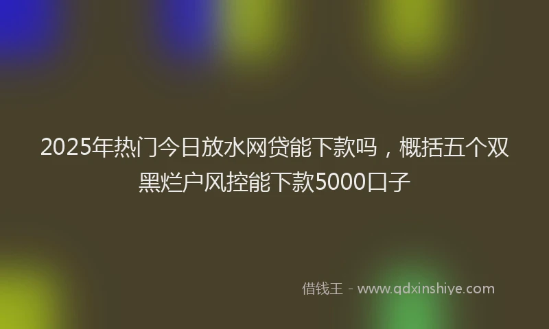 2025年热门今日放水网贷能下款吗，概括五个双黑烂户风控能下款5000口子