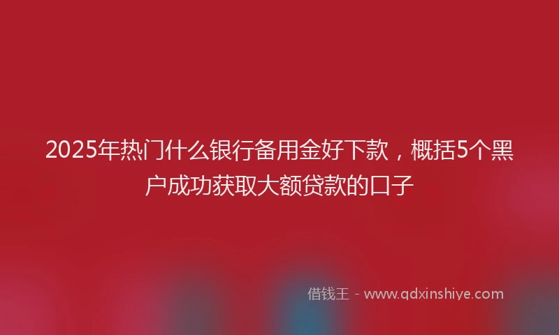 2025年热门什么银行备用金好下款，概括5个黑户成功获取大额贷款的口子