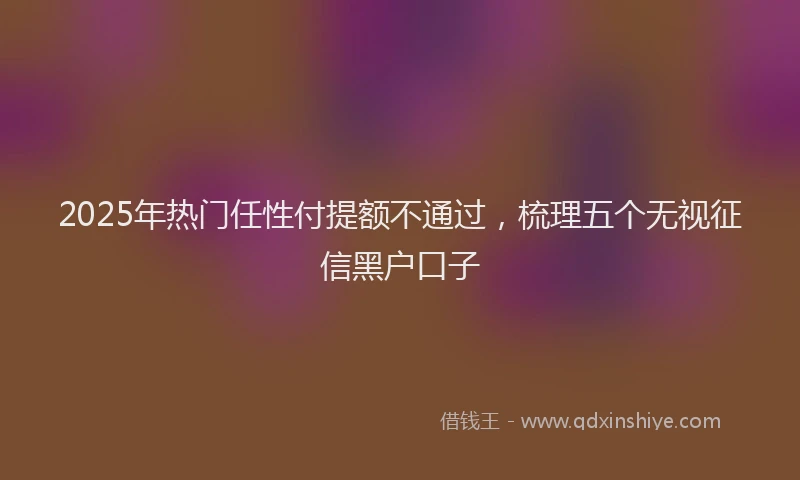 2025年热门任性付提额不通过，梳理五个无视征信黑户口子