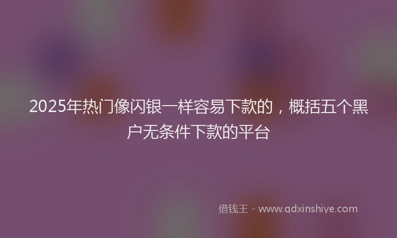 2025年热门像闪银一样容易下款的，概括五个黑户无条件下款的平台