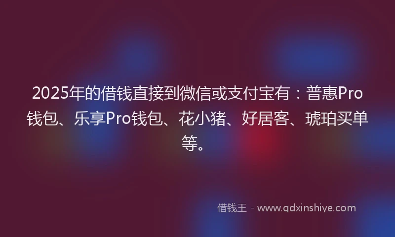 2025年的借钱直接到微信或支付宝有：普惠Pro钱包、乐享Pro钱包、花小猪、好居客、琥珀买单等。