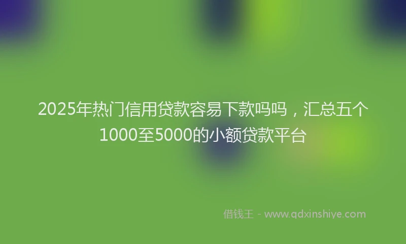 2025年热门信用贷款容易下款吗吗，汇总五个1000至5000的小额贷款平台