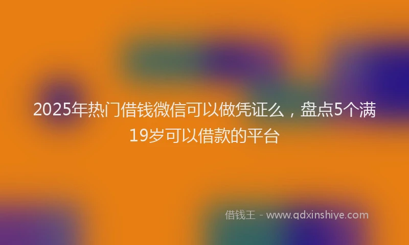 2025年热门借钱微信可以做凭证么，盘点5个满19岁可以借款的平台