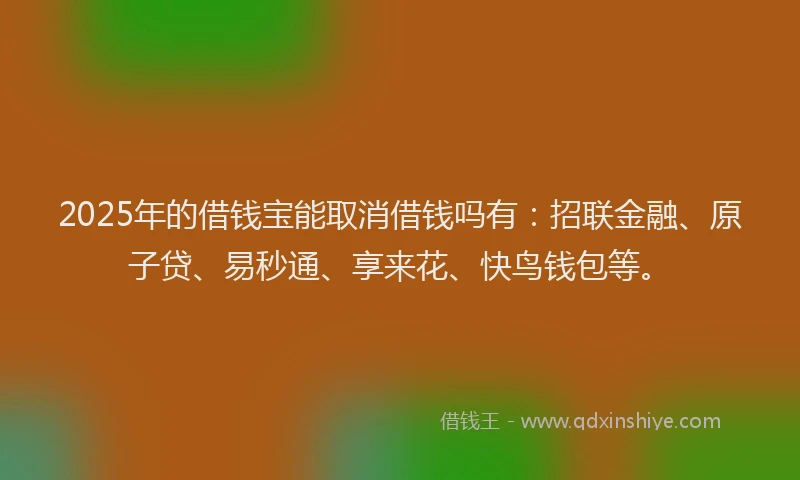 2025年的借钱宝能取消借钱吗有：招联金融、原子贷、易秒通、享来花、快鸟钱包等。