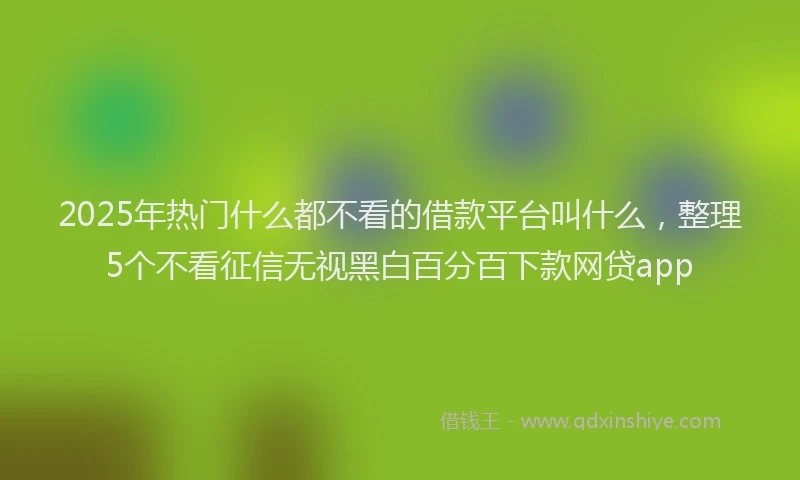 2025年热门什么都不看的借款平台叫什么，整理5个不看征信无视黑白百分百下款网贷app