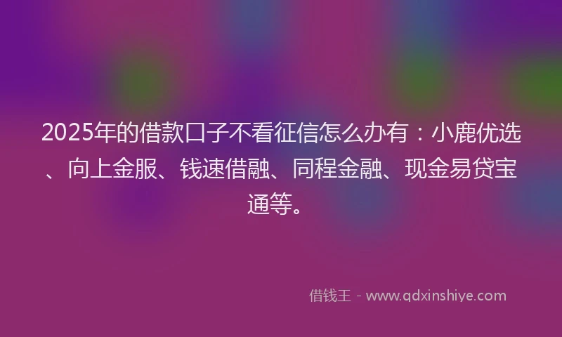 2025年的借款口子不看征信怎么办有：小鹿优选、向上金服、钱速借融、同程金融、现金易贷宝通等。