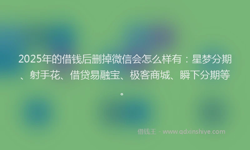2025年的借钱后删掉微信会怎么样有：星梦分期、射手花、借贷易融宝、极客商城、瞬下分期等。