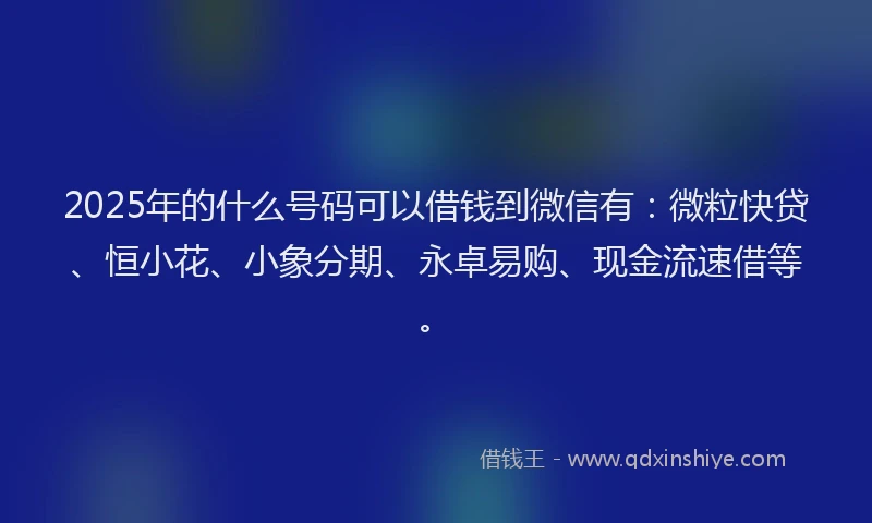 2025年的什么号码可以借钱到微信有：微粒快贷、恒小花、小象分期、永卓易购、现金流速借等。