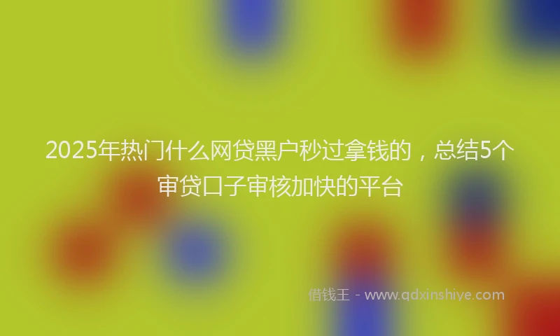 2025年热门什么网贷黑户秒过拿钱的，总结5个审贷口子审核加快的平台