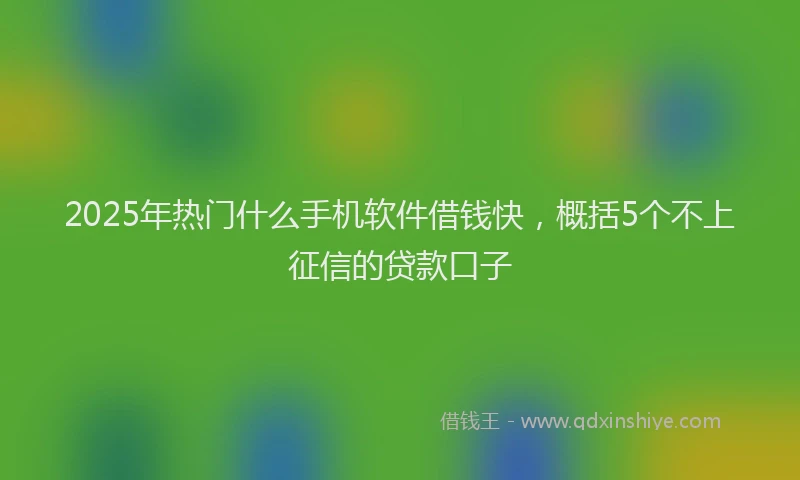 2025年热门什么手机软件借钱快，概括5个不上征信的贷款口子