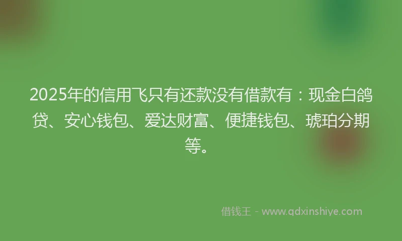 2025年的信用飞只有还款没有借款有：现金白鸽贷、安心钱包、爱达财富、便捷钱包、琥珀分期等。