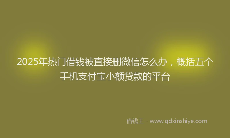 2025年热门借钱被直接删微信怎么办，概括五个手机支付宝小额贷款的平台