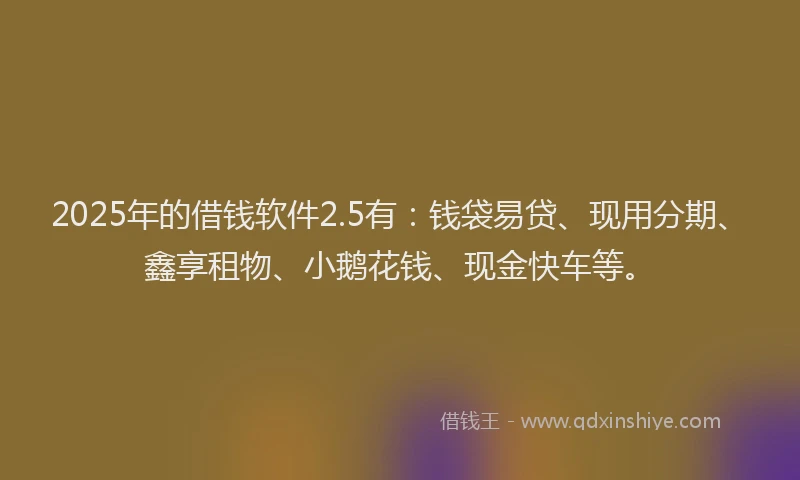 2025年的借钱软件2.5有：钱袋易贷、现用分期、鑫享租物、小鹅花钱、现金快车等。