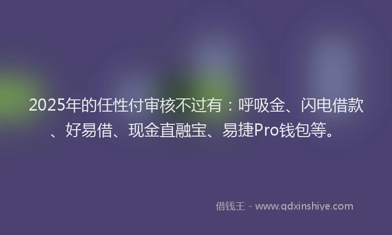2025年的任性付审核不过有：呼吸金、闪电借款、好易借、现金直融宝、易捷Pro钱包等。