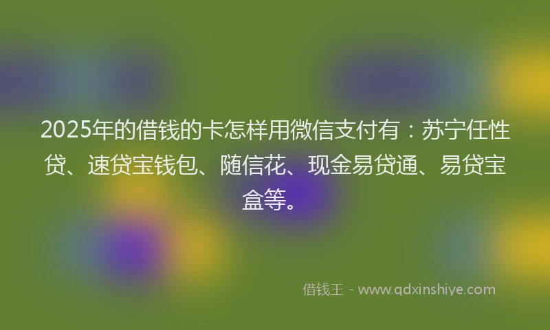 2025年的借钱的卡怎样用微信支付有：苏宁任性贷、速贷宝钱包、随信花、现金易贷通、易贷宝盒等。