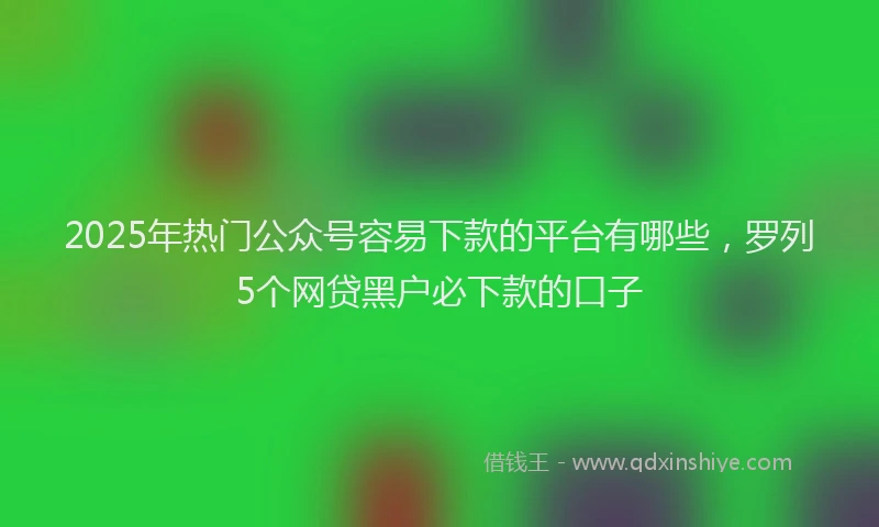 2025年热门公众号容易下款的平台有哪些，罗列5个网贷黑户必下款的口子