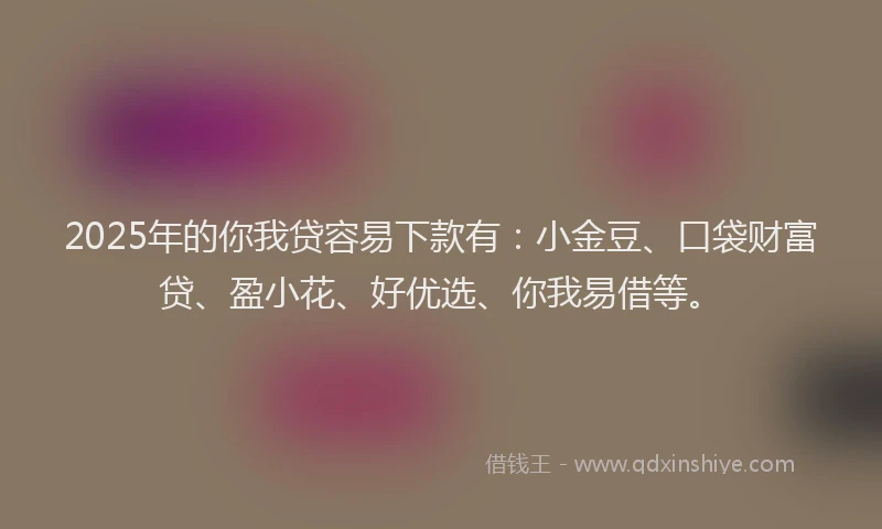 2025年的你我贷容易下款有：小金豆、口袋财富贷、盈小花、好优选、你我易借等。