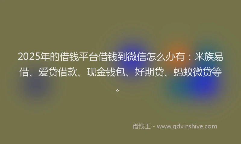 2025年的借钱平台借钱到微信怎么办有：米族易借、爱贷借款、现金钱包、好期贷、蚂蚁微贷等。