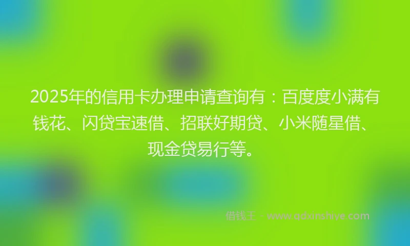 2025年的信用卡办理申请查询有：百度度小满有钱花、闪贷宝速借、招联好期贷、小米随星借、现金贷易行等。