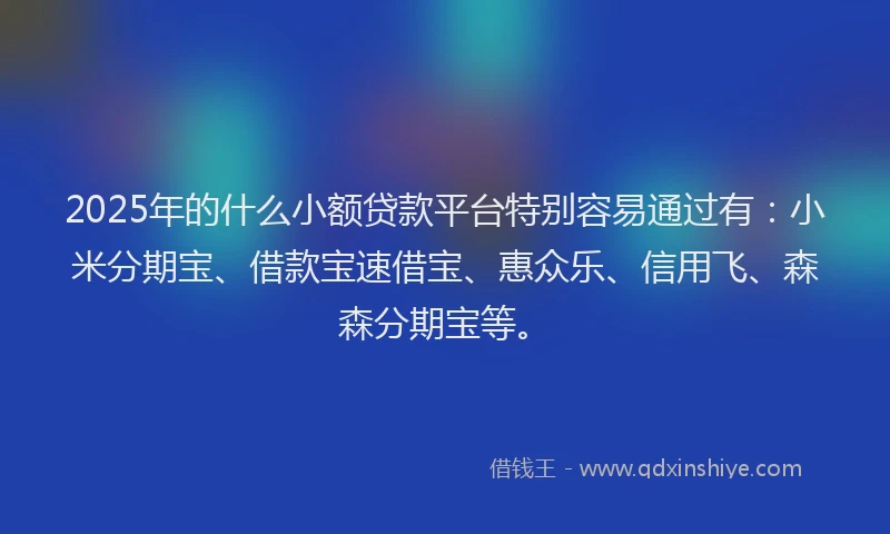 2025年的什么小额贷款平台特别容易通过有：小米分期宝、借款宝速借宝、惠众乐、信用飞、森森分期宝等。
