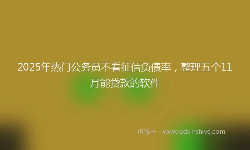 2025年热门公务员不看征信负债率，整理五个11月能贷款的软件